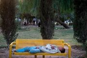 از بزم شبانه معتادان تا بساط قمار در پارک‌ها 