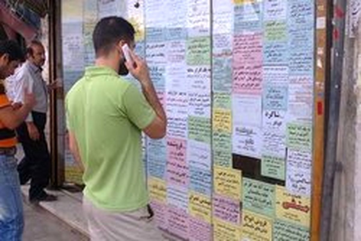 چند درصد مردان از پیدا کردن کار ناامیدند؟