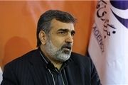 خرید تجهیزات برای رآکتور اراک نقض توافق ژنو نیست
