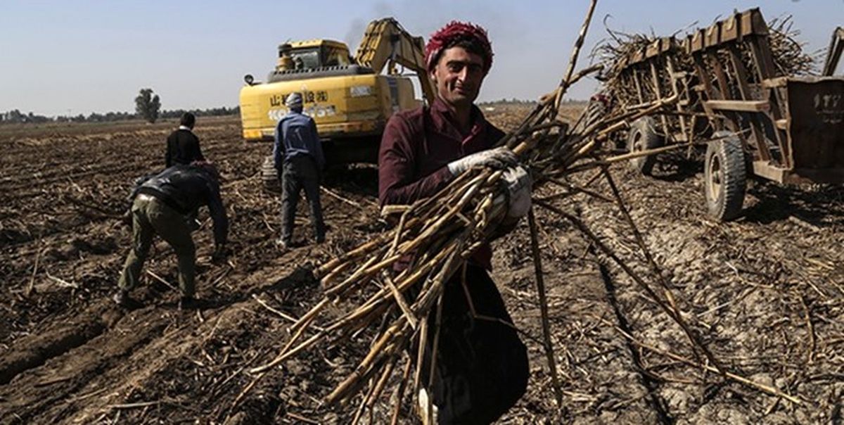 حقوق کارگران نیشکر هفت‌تپه فردا واریز می‌شود