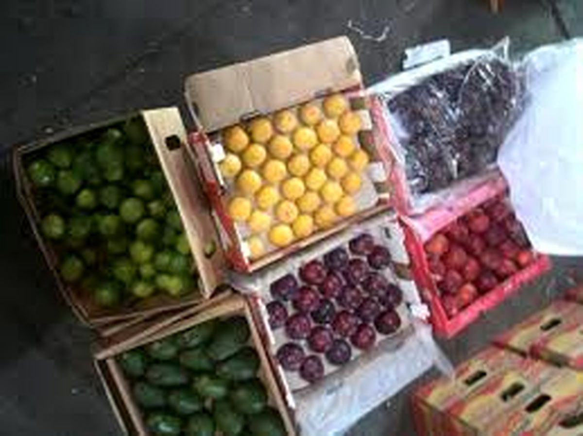 کشف 3 تن میوه قاچاق به ارزش بیش از 800 میلیون ریال