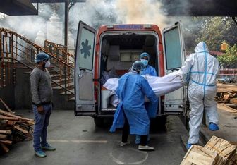 آمار عجیب تعداد مبتلایان به کرونا در هند