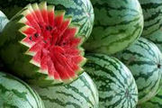 ‌هندوانه‌ با طعم خون‌ مرغ