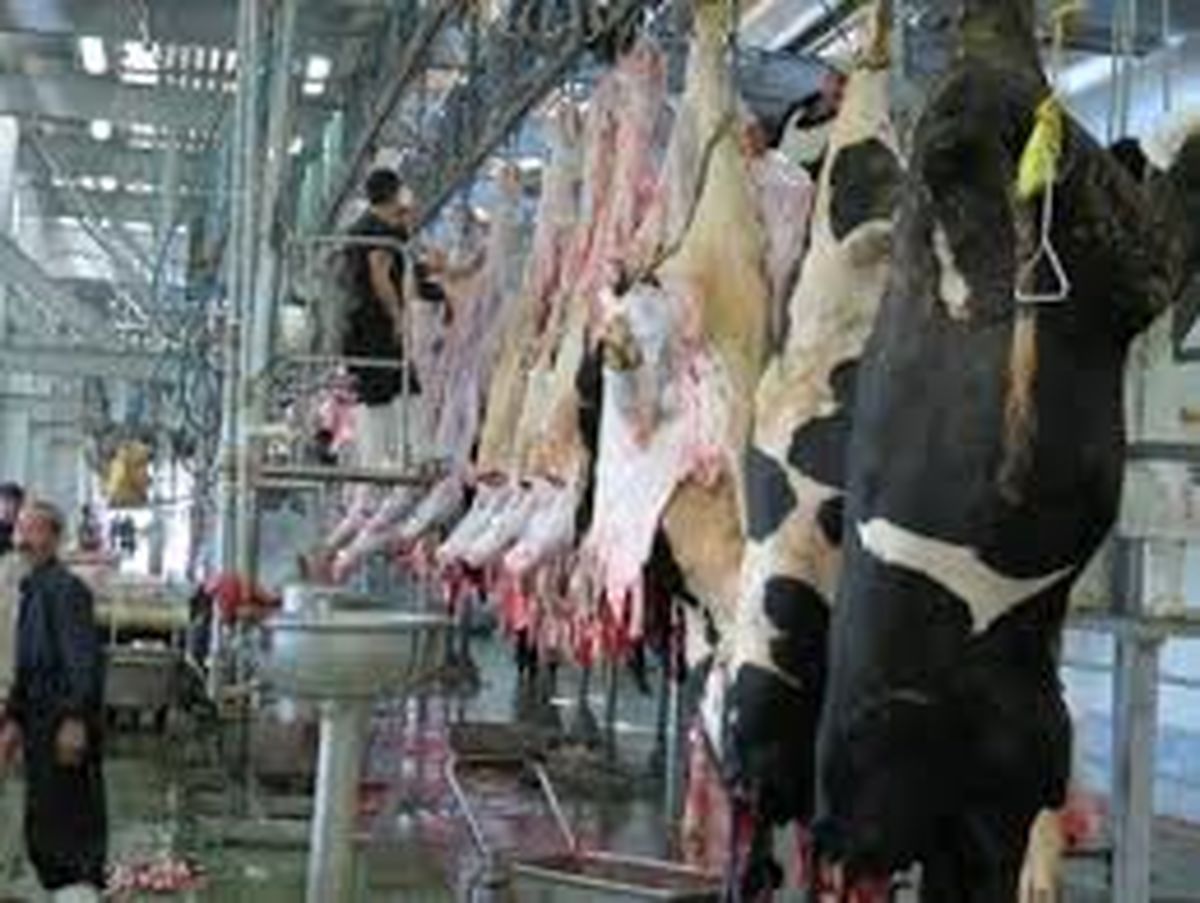فریاد رسی برای کشتارگاه صنعتی بابل نیست