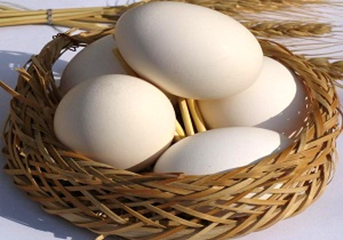 قیمت رسمی مرغ و تخم مرغ در بازار