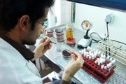 دو مرحله‌ای بودن آزمایشات ژنتیک 