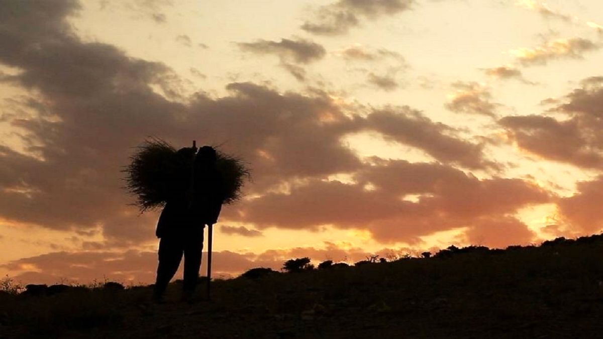 راز‌های «امید» از زبان پیرمرد ۸۰ ساله روستایی