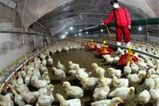 هیچ گزارش آنفلوانزای فوق حاد پرندگان در سمنان داده
نشده
است 