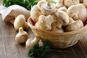 روش مصرف قارچ