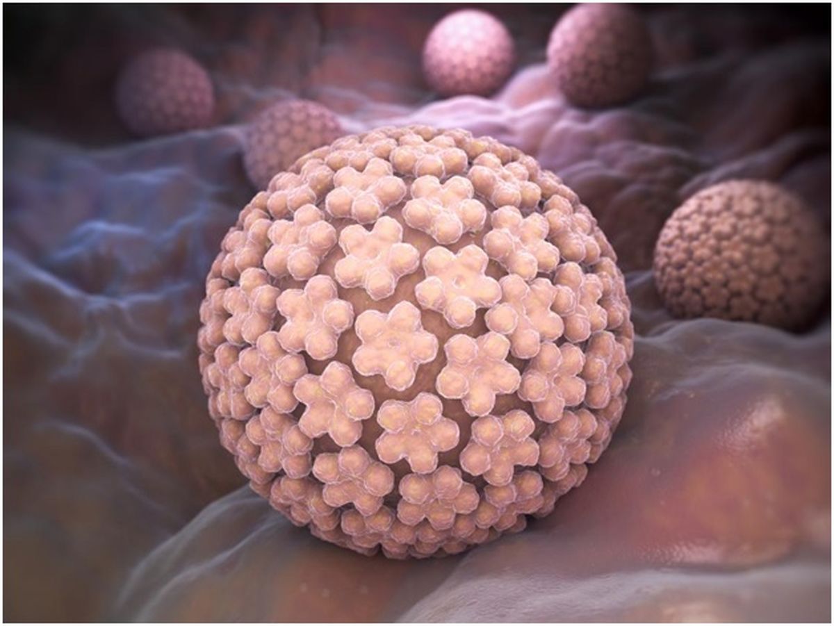 ویروس اچ پی وی (HPV virus) یا پاپیلومای انسانی تناسلی در مردان