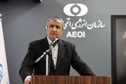 خبر خوش هسته ای برای مردم ایران/ درخواست ۵۶ کشور از سازمان انرژی اتمی ایران