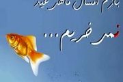 امسال ماهی قرمز نخریم