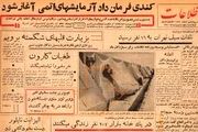 سکونت ۲۰۷ نفر در یک خانه! +عکس
