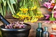 کلیه هایتان را با این گیاهان به طور طبیعی تقویت کنید