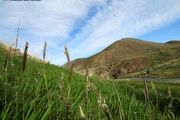 طبیعت زیبای بویین میاندشت / تصاویر
