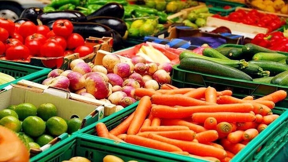 صادرات میوه و صیفی ۵ درصد افزایش می‌یابد
