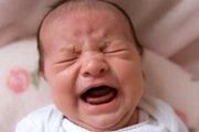 پیش‌فروش نوزاد در محله هرندی