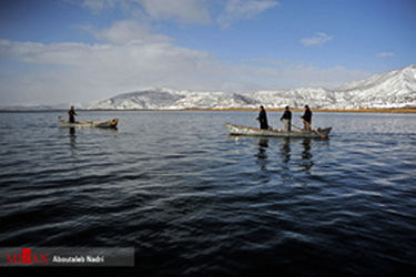 thm_1020477_585