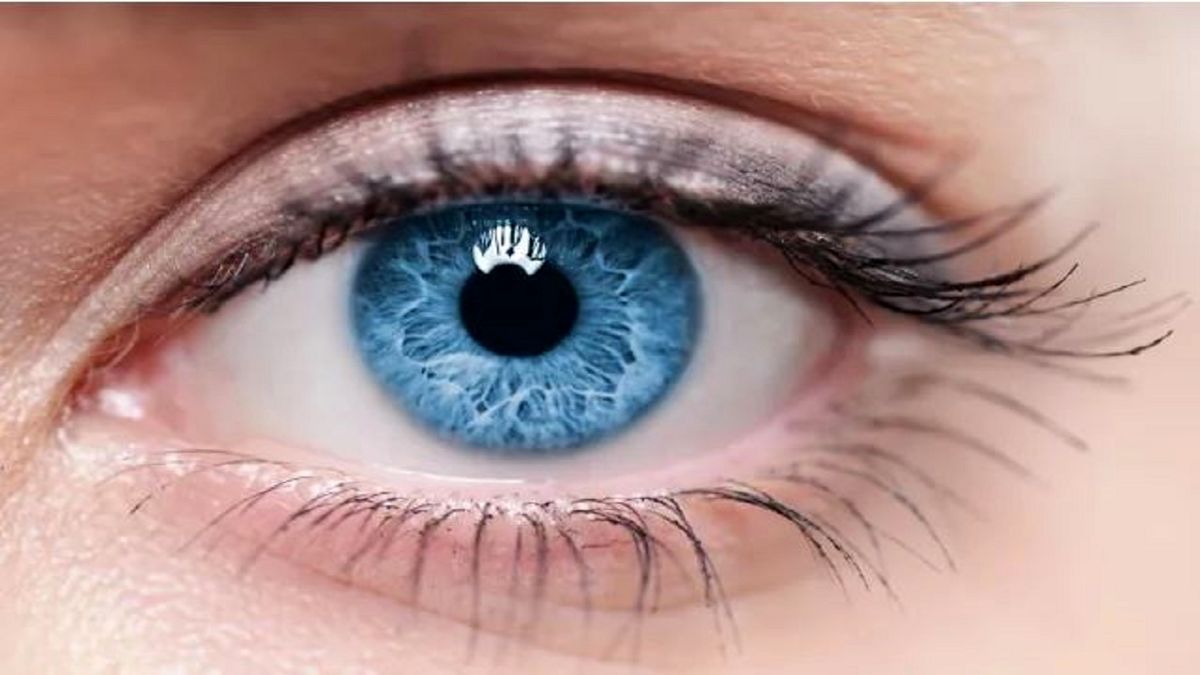 آیا چشمان شما می‌تواند آلزایمرتان را پیش بینی کند؟
