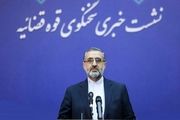 سخنگوی قوه قضائیه: اقدام راننده اسنپ اثربخش بود
