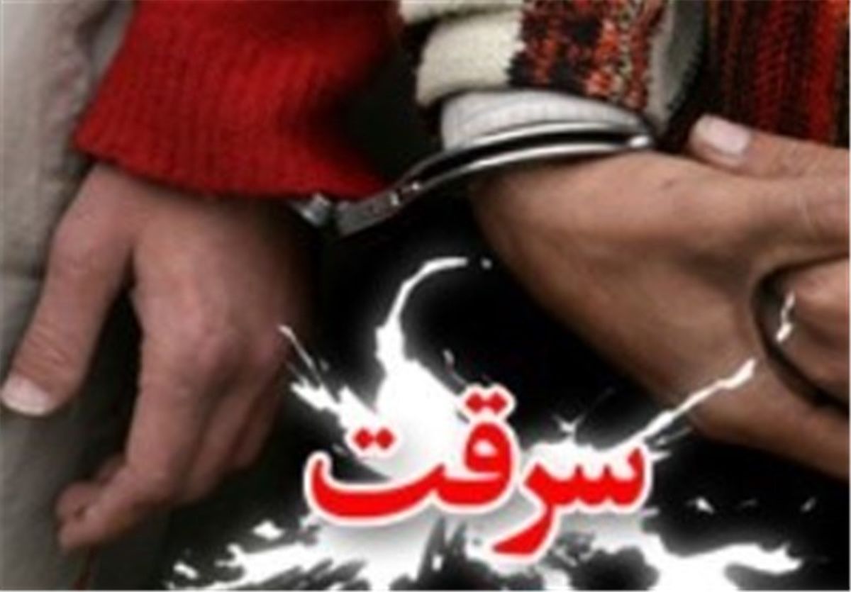 سرقت در دلیجان ۵۵ درصد کاهش یافت