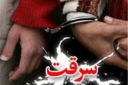 سرقت در دلیجان ۵۵ درصد کاهش یافت