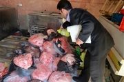 ۳.۵ تن تلفات مرغ در قزوین معدوم شد 