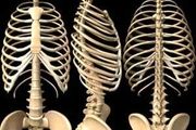 بی تحرکی سبب ایجاد تغییرات در وضعیت فیزیکی بدن افراد می شود