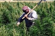 گازوئیل ایران بخش کشاورزی لبنان را از فروپاشی حتمی نجات داد