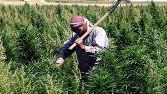 گازوئیل ایران بخش کشاورزی لبنان را از فروپاشی حتمی نجات داد