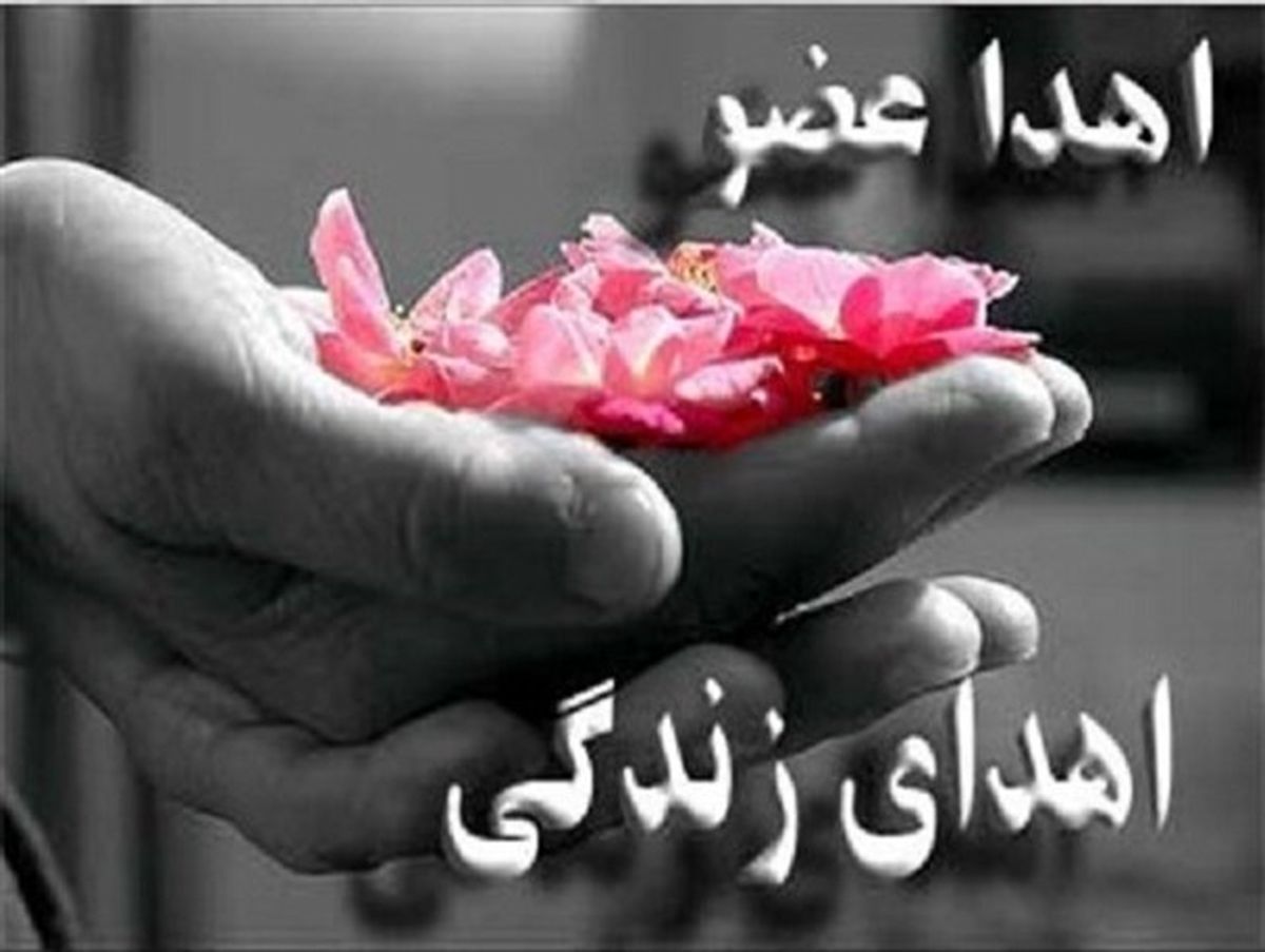 دومین اهدای عضو در قزوین جان ۴ بیمار را نجات داد