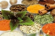  گوشت بلدرچین را جایگزین گوشت قرمز کنید