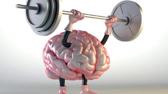 تاثیر ورزش بر روی مغز
